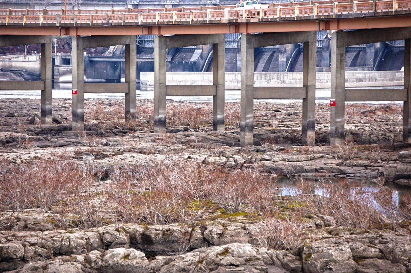 The U.S. Army Corps of Engineers will close all but the southwestern most extent of the Lone Pine Islands, located directly downstream of The Dalles Lock and Dam, to public access.