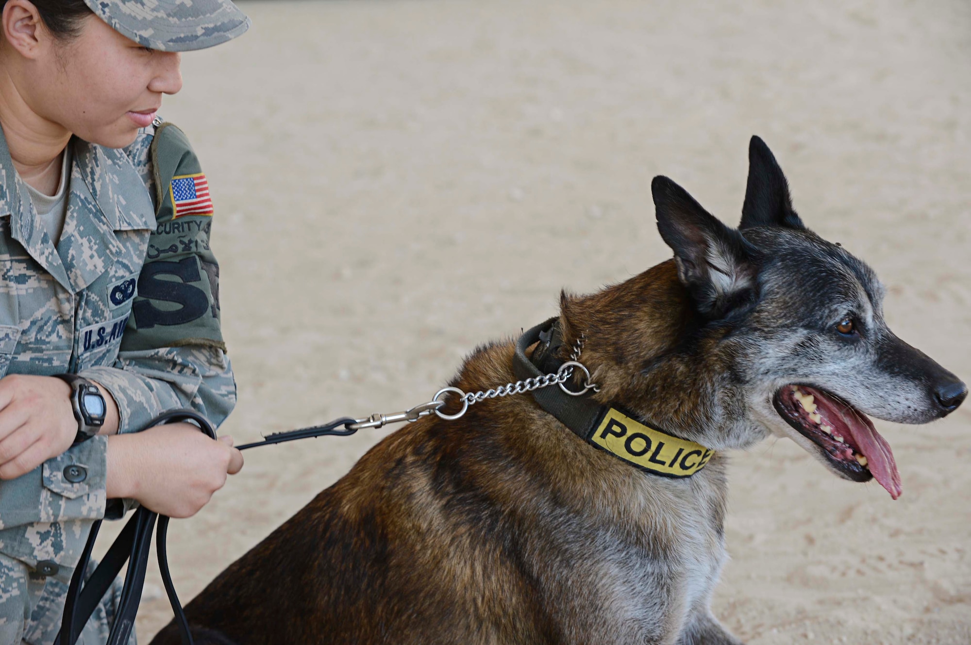 Senior Airman Angela Jones, 386th Expeditionary Security Forces Squadron, takes a break with her seven year old Belgian Malinois, Chester after his play time at an undisclosed location in Southwest Asia. Jones is a military working dog handler, deployed from Nellis Air Force Base and a Lafayette, Louisiana native. (U.S. Air Force photo by Senior Airman Desiree W. Moye)