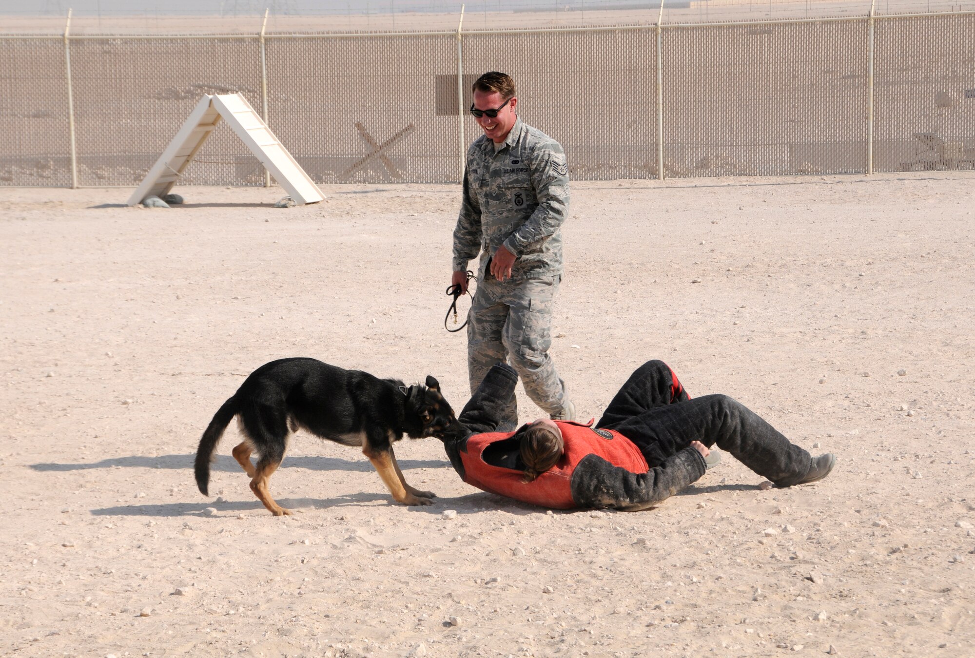 Military working dog Apacs, handled by Staff Sgt. Brandon Denton, immobilizes Airman 1st Class Briceida Cervantes during MWD demonstration for 7th Expeditionary Air Combat and Control Squadron at the 379th Air Expeditionary Wing in Southwest Asia, Dec. 30, 2013. Military working dogs are trained to bite and hold onto the suspect until their handler gives the command to release. Denton is assigned to the 379th Expeditionary Security Force Squadron and a Hilton Head, S.C., native deployed from MacDill Air Force Base, Fla. Cervantes is assigned to the 7th EACCS and a Fort Valley, Ga., native deployed from Dobbins Air Reserve Base, Ga. (U.S. Air Force photo/Senior Airman Hannah Landeros)