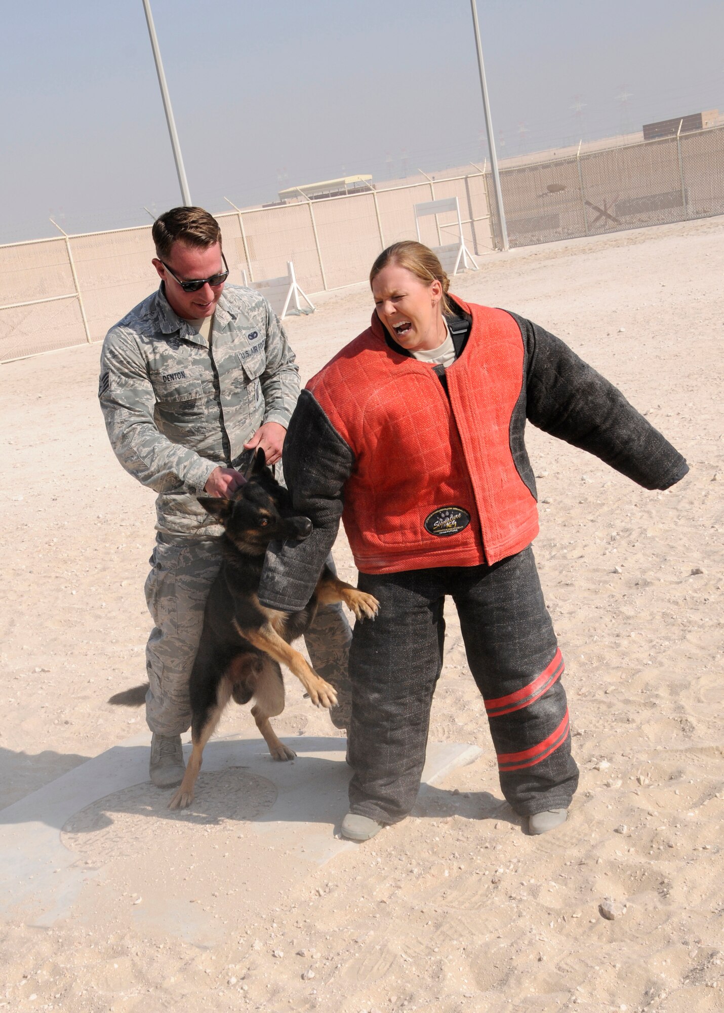 Military working dog Apacs, handled by Staff Sgt. Brandon Denton, bites down on Master Sgt. Ashley Lopez during MWD demonstration for 7th Expeditionary Air Combat and Control Squadron at the 379th Air Expeditionary Wing in Southwest Asia, Dec. 30, 2013. Military working dogs are trained to bite and hold onto the suspect until their handler gives the command to release. Denton is assigned to the 379th Expeditionary Security Force Squadron and a Hilton Head, S.C., native deployed from MacDill Air Force Base, Fla. Lopez is the first sergeant for the 7th EACCS and a Jesup, Ga., native deployed from Robins Air Force Base, Ga. (U.S. Air Force photo/Senior Airman Hannah Landeros)