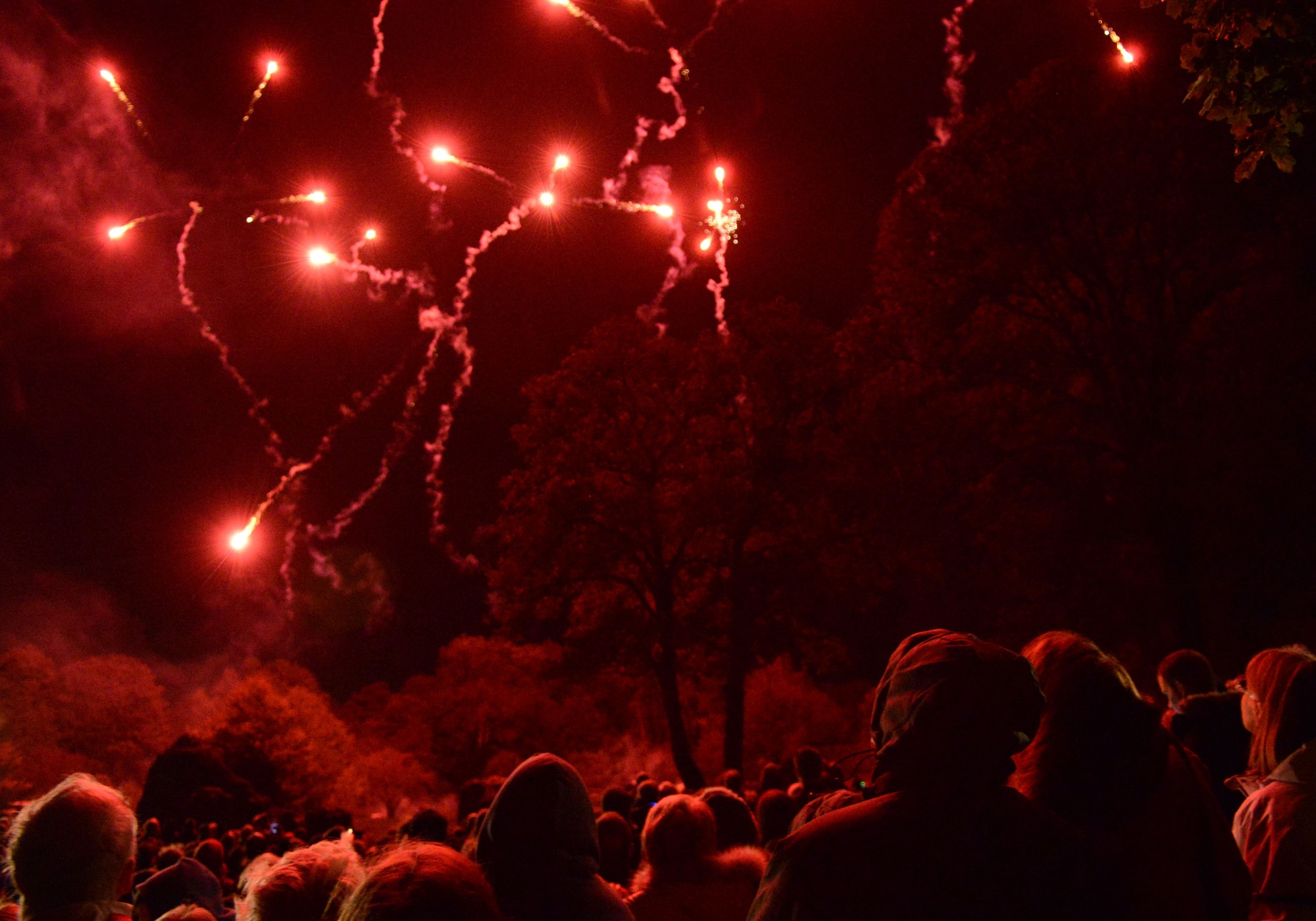Members of the local community watch as fireworks are shot off during a Bonfire Night celebration Nov. 2, 2013, over the Abbey Gardens in Bury St. Edmunds, England. Traditionally, a fireworks display commemorates Bonfire Night, the night Guy Fawkes and the gunpowder plot were foiled. Team Mildenhall members assisted during the celebration by providing security and safety teams. (U.S. Air Force photo by Airman 1st Class Dillon Johnston/Released)