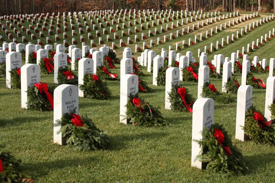 Arlington, Quantico National Cemeteries seek volunteers to remove ...