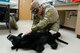 Senior Master Sergeant Billy Hardin, pararescue superintendent for the Kentucky Air National Guard’s 123rd Special Tactics Squadron, practices providing medical care to a simulated military working dog while blindfolded to simulate darkness during a training session at Jefferson Community College in Shelbyville, Ky., on Dec. 5, 2013. Hardin is one of 10 Kentucky Air Guard pararescuemen who learned to treat military working dogs during the two-day course. (U.S. Air National Guard photo by Master Sgt. Phil Speck)
