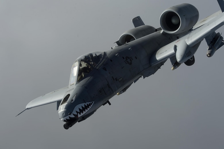 A U.S. Air Force A-10 Thunderbolt II from the 74th Expeditionary Fighter Squadron, Bagram Airfield, Afghanistan flies a combat sortie Jan. 7, 2014, over Northeast, Afghanistan. (U.S. Air Force photo by Tech. Sgt. Jason Robertson/not reviewed)
         