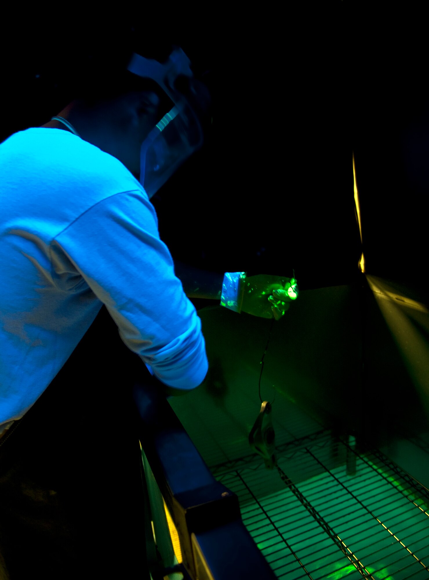 A Detachment 1, 359th Training Squadron nondestructive inspection student examines an aircraft part under black light at Naval Air Station Pensacola, Fla., Dec. 17, 2013. NDI Airmen learn additional techniques for finding cracks which include conducting ultrasounds on aircraft parts. (U.S. Air Force photo/Senior Airman Michelle Vickers)
 