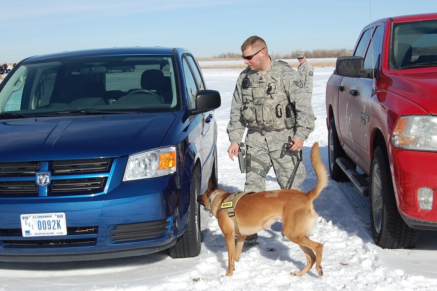 A member of the 460th Security Forces Squadron works with his explosive detection dog to find 75 pounds of C4 explosive material hidden in a vehicle during a joint training day January 8, hosted by the 140th Explosive Ordnance Disposal Flight at Buckley Air Force Base, Colo. The exercise scenarios were geared towards a mass shooting event where large quantities of explosive materials are present. (US Air National Guard photo by Capt. Kinder Blacke)