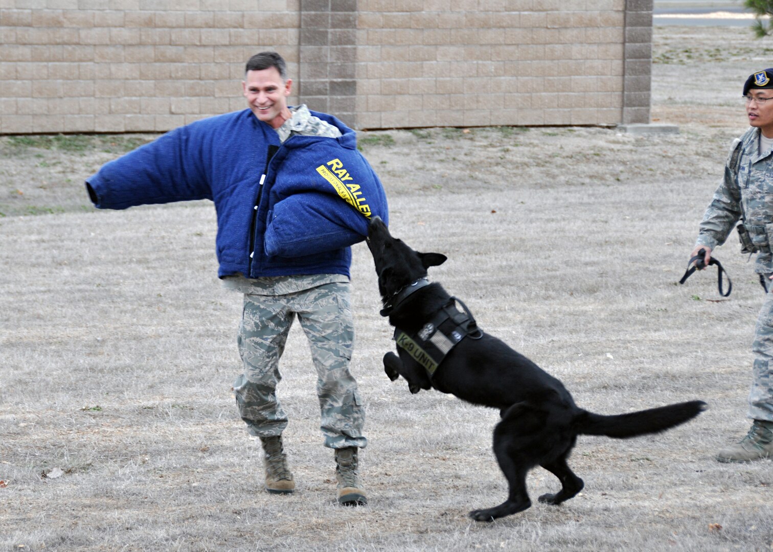 A 60th Security Forces Squadron's military working dog tries to take down Col. Brett Clark, 94th Airlift Wing commander at Dobbins Air Reserve Base, Ga. and one of the Commander in Chief Installation Excellence Award inspectors, during the team's inspection of Travis. (U.S. Air Force photo/SMSgt Robert Wade)