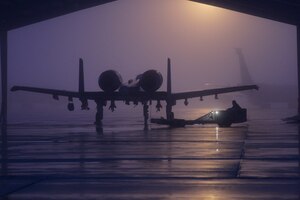 140111-Z-NJ721-014  An A-10 Thunderbolt II from the 127th Fighter Squadron is parked beneath a shelter on a foggy morning at Selfridge Air National Guard Base, Mich., on Jan. 11, 2014.  (U.S. Air National Guard photo by TSgt. Robert Hanet/Released)