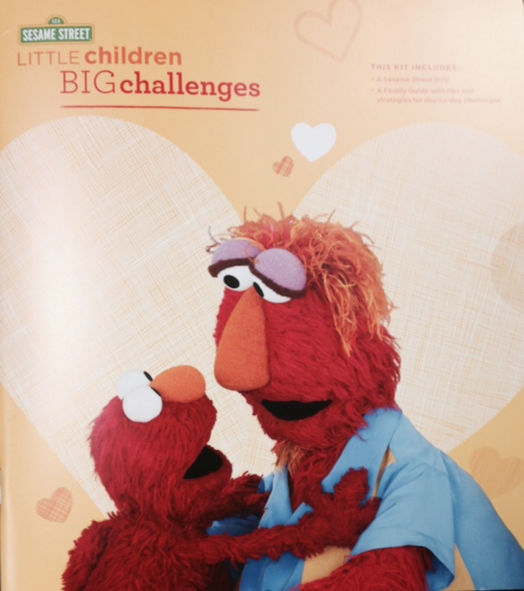 The Defense Department and Sesame Street have unveiled a book and DVD to develop resilience in young children. “Little Children, BIG Challenges” lets military children know that challenges are a part of life. Whether a child struggles with sitting quietly at the dinner table, or faces a bully at school, the beloved Sesame Street characters can help.