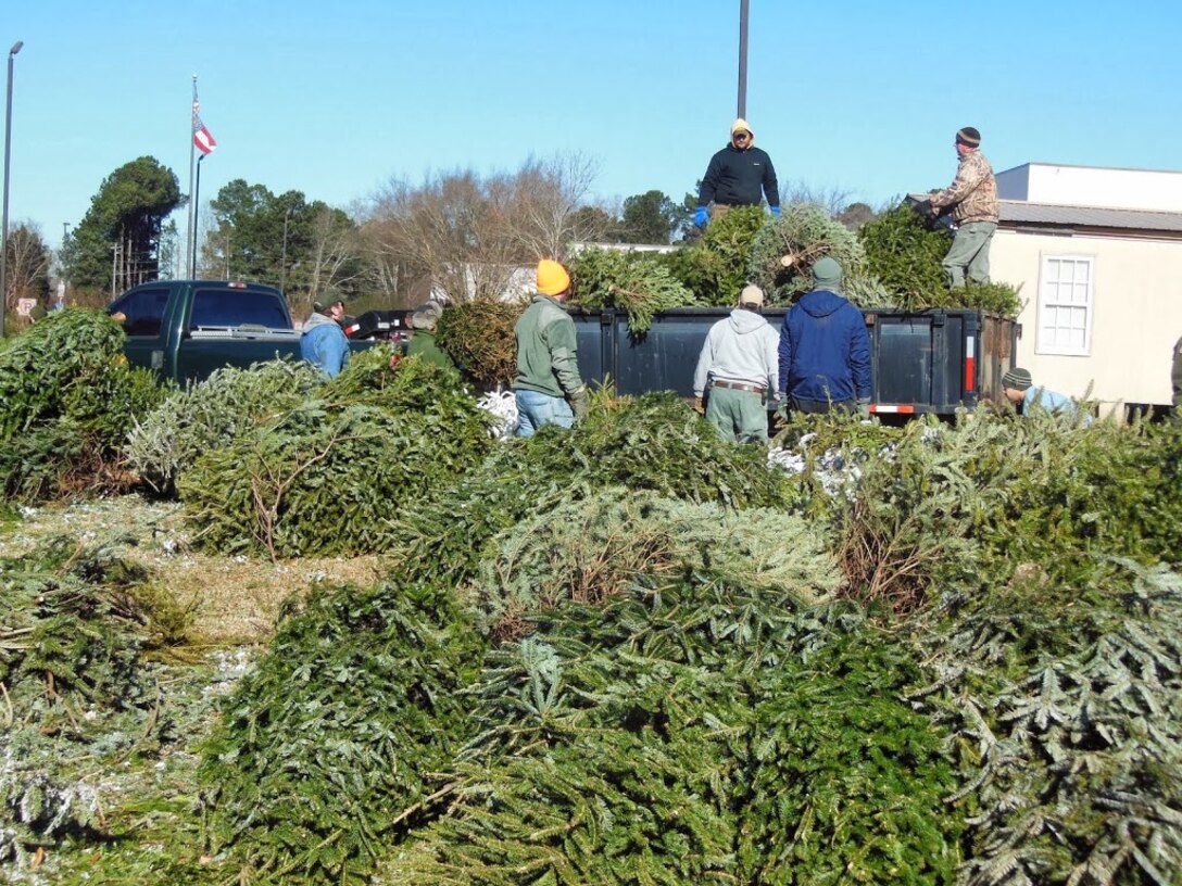 Volunteers and staff with the U.S. Army Corps of Engineers load Christmas trees at Riverside Middle School, Jan. 7, 2014. 