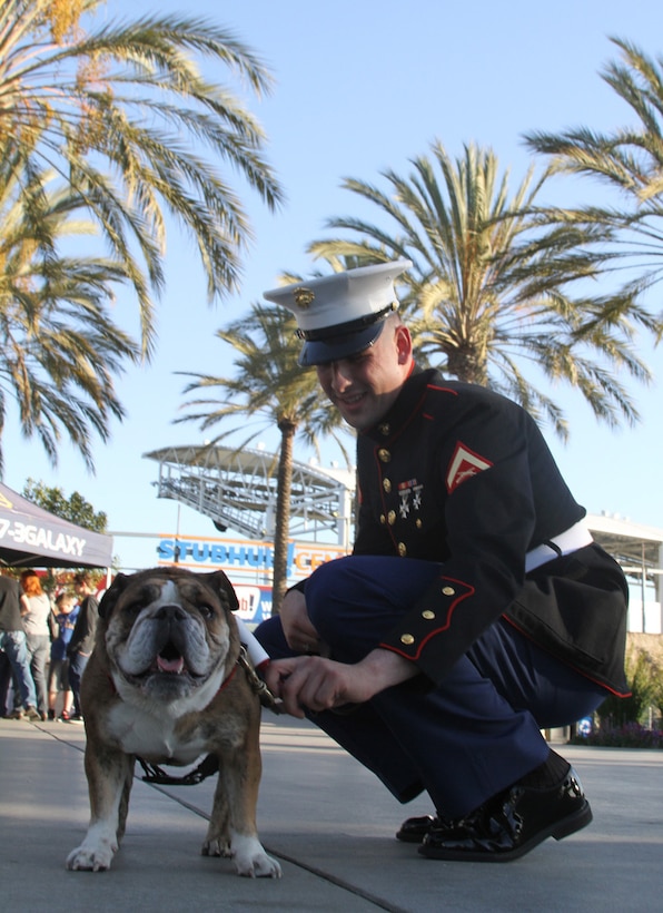 Lance Cpl. Tyler Viglione, a combat correspondent and  Boston, native with Marine Corps Recruit Depot San Diego, cleans Cpl. Belleau Wood’s, the Marine Corps Recruit Depot San Diego’s mascot, uniform during the fan fest before the Semper Fidelis All-American Bowl at The StubHub Center in Carson, Calif., Jan. 5, 2014. Local Marines from the reserve center and recruiting district set up vehicles and booths for the bowl attendees to learn more about the Marine Corps and be entertained before the start of the game. The Semper Fidelis Football Program brought together over 90 of the best high-school football players in an East versus West game and is an opportunity for the Marine Corps to connect on a personal and local level with players and influencers, demonstrates commitment to developing quality citizens, and reinforces how core values of honor, courage and commitment relate to success on and off the field. (Official U.S. Marine Corps photo by Sgt. Dwight A. Henderson/Released)