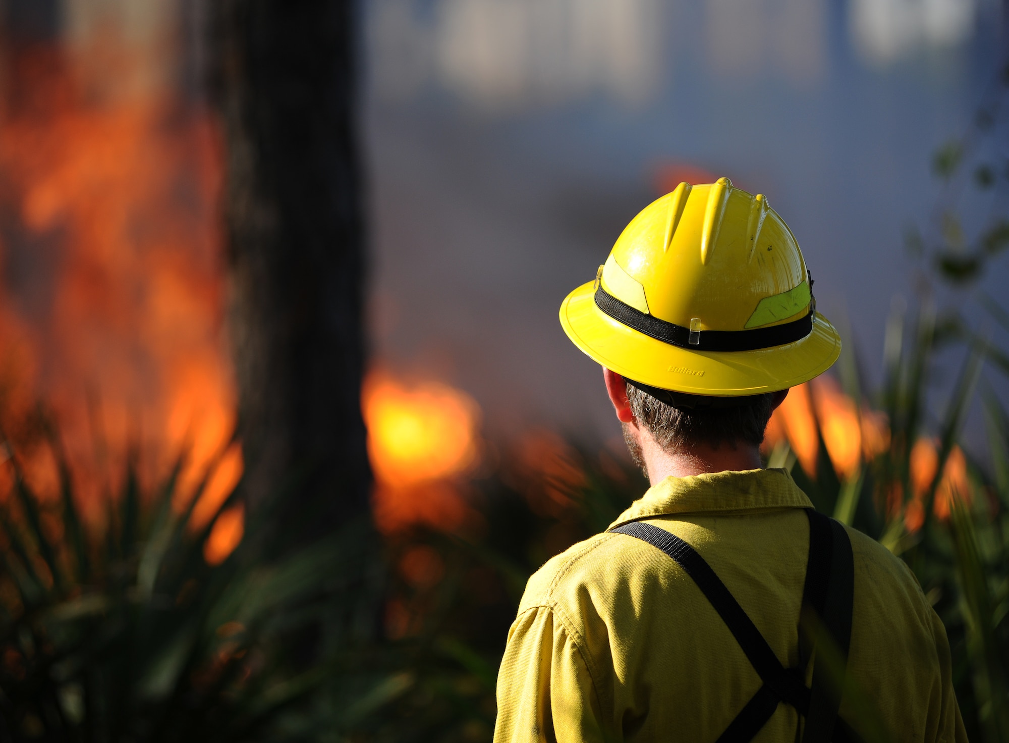 Benjamin Aubuchon, 325th Civil Engineer Squadron Natural Resources cultural resources program coordinator, watches the flames during a prescribed burn Nov. 21 at the Silver Flag Exercise Site, Tyndall Air Force Base, Fla. The burns clear undergrowth and allow for healthier forests while lowering the possibility of wildfires. (U.S. Air Force photo by Airman 1st Class Alex Echols)