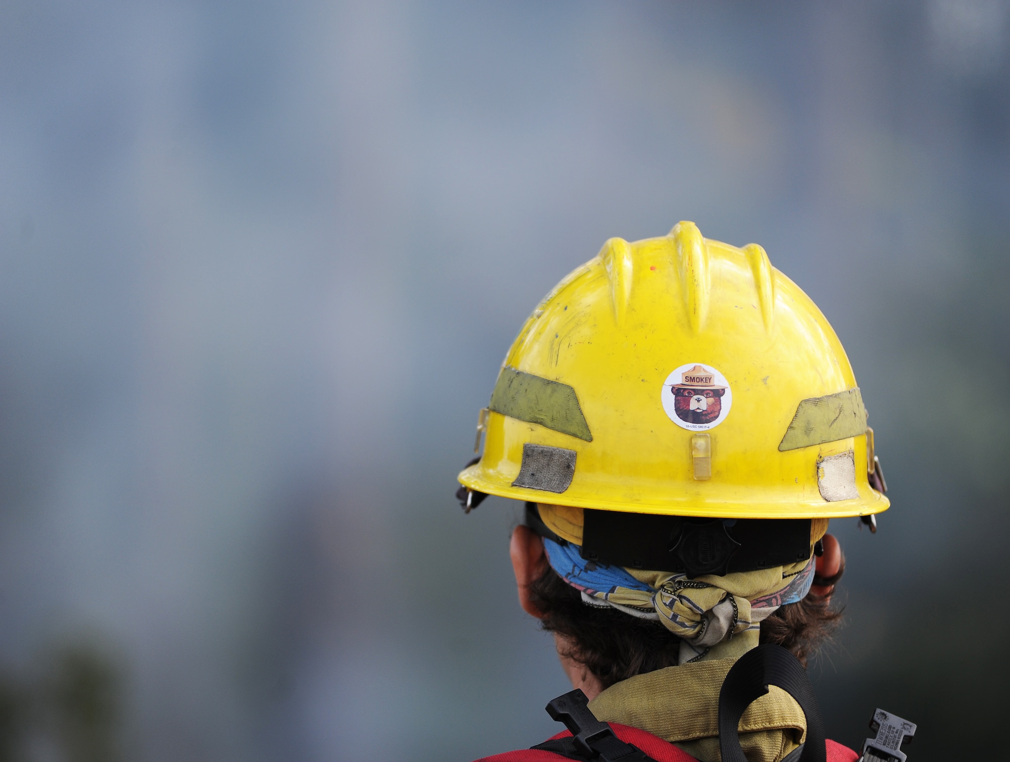 A U.S. Forest Service fire detailer, watches the smoke during a prescribed burn Nov. 21 at the Silver Flag Exercise Site, Tyndall Air Force Base, Fla. The burns clear undergrowth and allow for healthier forests while lowering the possibility of wildfires. (U.S. Air Force photo by Airman 1st Class Alex Echols)