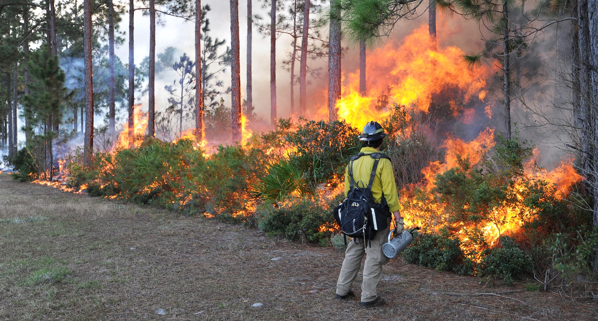 A U.S. Forest Service fire detailer, watches the flames during a prescribed burn Nov. 21 at the Silver Flag Exercise Site, Tyndall Air Force Base, Fla. The burns clear undergrowth and allow for healthier forests while lowering the possibility of wildfires. (U.S. Air Force photo by Airman 1st Class Alex Echols)