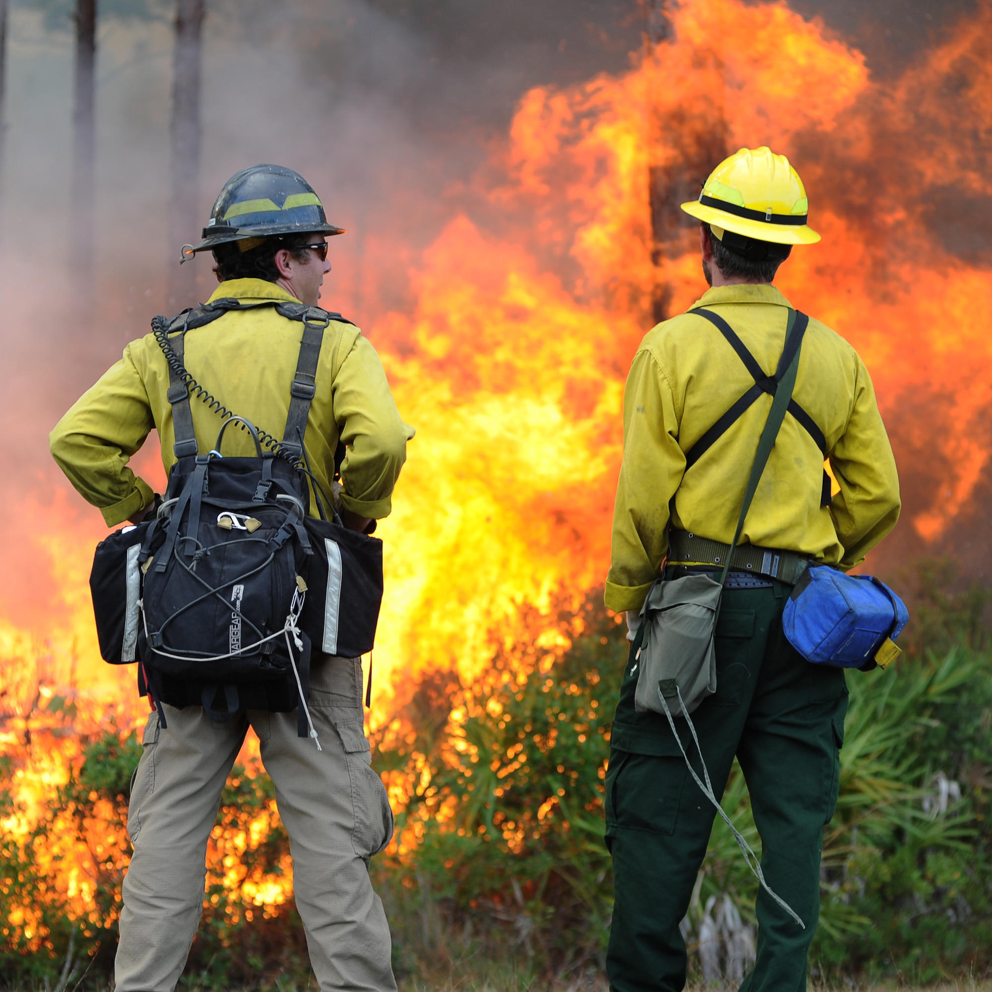U.S. Forest Service fire detailers, take a break during a prescribed burn Nov. 21 at the Silver Flag Exercise Site, Tyndall Air Force Base, Fla. The burns clear undergrowth and allow for healthier forests while lowering the possibility of wildfires. (U.S. Air Force photo by Airman 1st Class Alex Echols)