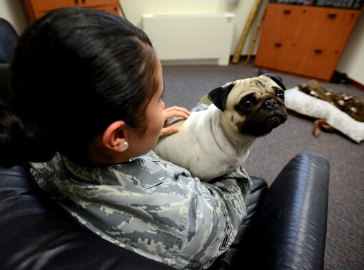 A patient at the 31st Medical Operations Squadron Mental Health Clinic enjoys some quality time with Kelty, a certified pet therapy dog. Pet therapy is conducted in select mental health offices, at the request of the treating provider and with patient or parent consent. (U.S. Air Force photo/Staff Sgt. R.J. Biermann)