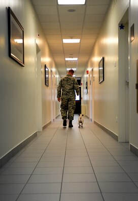 Master Sgt. Michael Lee, 31st Medical Operations Squadron Mental Health Flight chief, and his dog, Kelty, take a walk down the hall at the mental health clinic. The Mental Health Pet Therapy Program began here because of Kelty’s addition to the flight. (U.S. Air Force photo/Staff Sgt. R.J. Biermann)