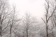A squirrel ventures onto a fog-frosted limb behind the Lake Office at Lucky Peak Lake.