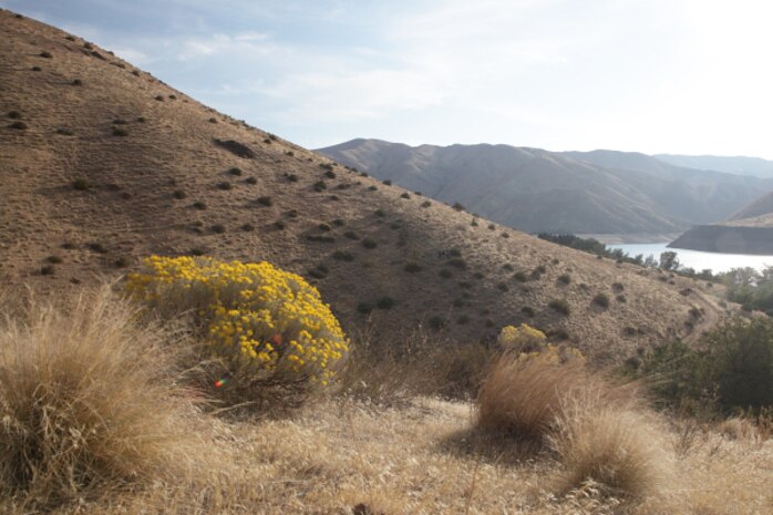 Overlooking the boat-in areas  of Deer Flat and Placer Point from a hillside above Lucky Peak Lake.