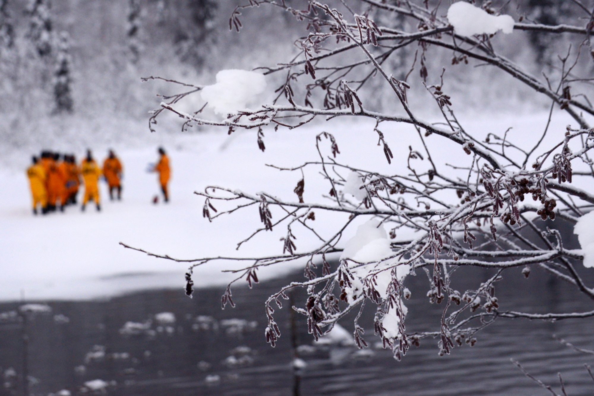 Snow-covered branches frame 673d Civil Engineer Squadron firefighters? ice water rescue training, Upper Sixmile Lake, Joint Base Elmendorf-Richardson, Jan. 13, 2014. The ice water rescue training took place in 14-degree weather. (U.S. Air Force photo/Staff Sgt. Sheila deVera)