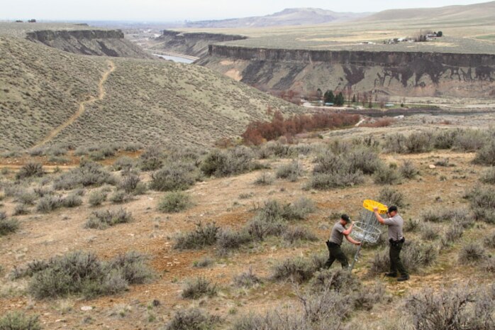 Rangers install the Lydle Gulch disc golf Gold Course at Lucky Peak Dam Recreation Area.  The Gold Course is removed each winter from January 1 to April 1 each year to lessen disturbances to mule deer and elk on their critical winter range.