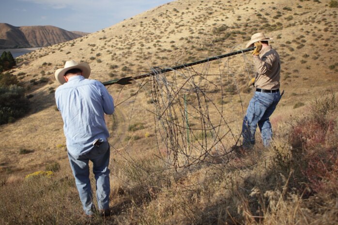Volunteers removing abandoned barbed-wire fencing from Lucky Peak Lake.