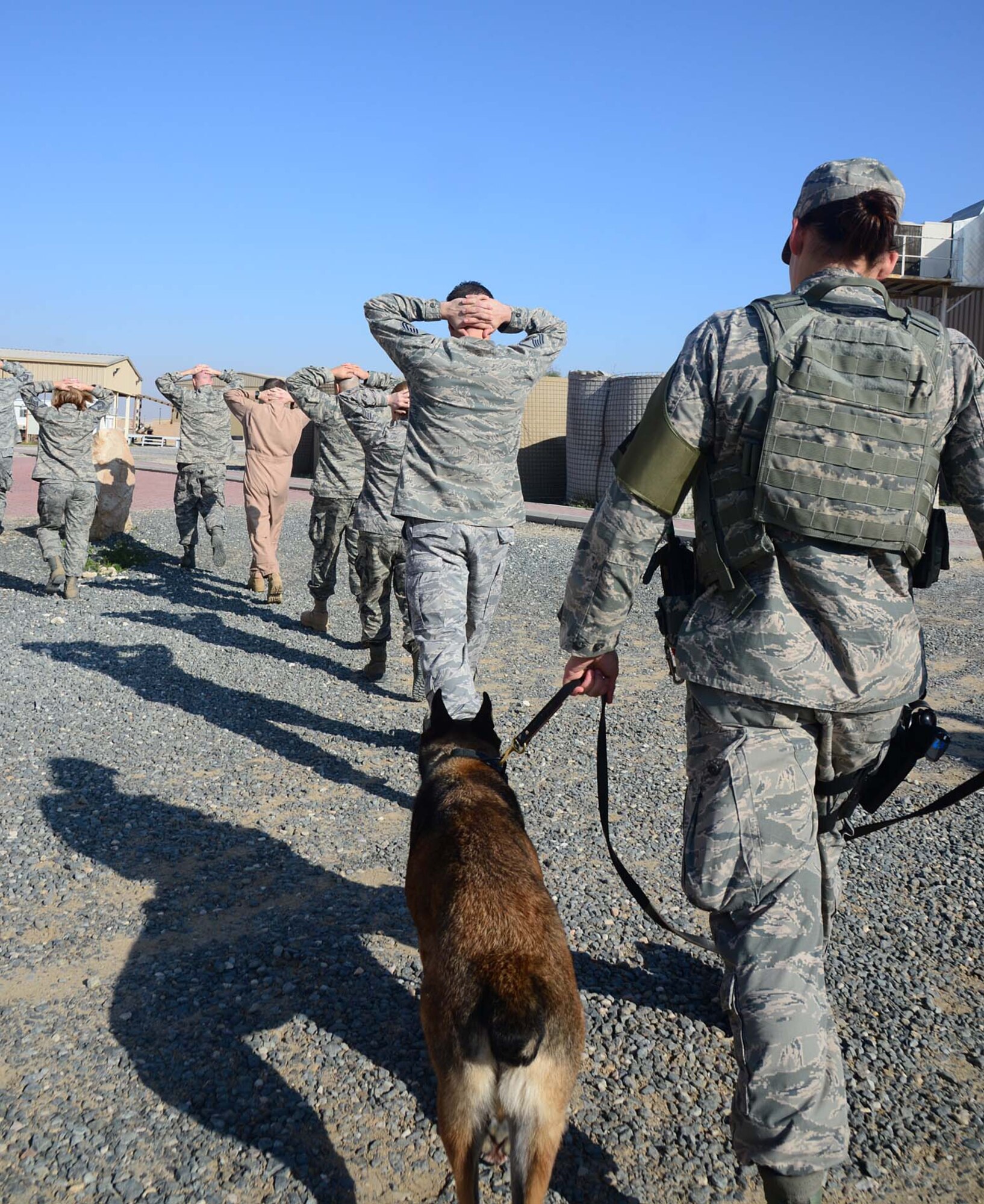 Staff Sgt. Margaret Norotsky, 386th Expeditionary Security Forces Squadron military working dog handler, and her seven-year-old dog, Judy, escort wing staff personnel during an active-shooter scenario at an undisclosed location in Southwest Asia.  The exercise evaluated emergency responder and personnel aptitude for procedure execution in an accurate and timely manner. Norotsky is deployed from Kadena Air Base, Japan, and a native of Altuna, Pa. (U.S. Air Force photo by Senior Airman Desiree W. Moye)