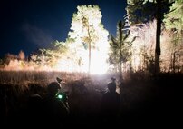 Airmen from the 1st, 2nd and 3rd Combat Camera Squadrons come under attack as explosions illuminate the forest around them during the Ability to Survive and Operate exercise Jan. 14, 2014, at North Auxiliary Air Field, S.C. The 1st Combat Camera Squadron located at Joint Base Charleston, S.C., hosted the Ability to Survive and Operate Exercise from Jan. 6 through 17. (U.S. Air Force photo/ Senior Airman Dennis Sloan)