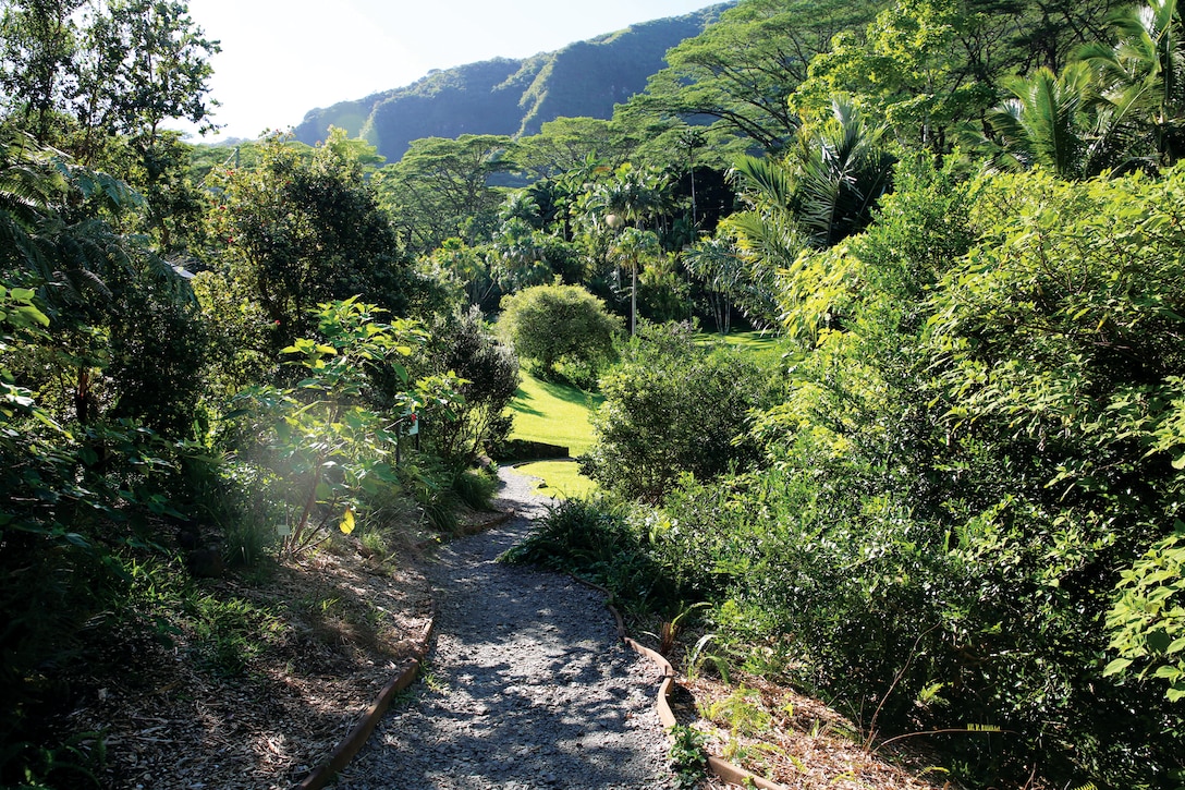 The Harold L. Lyon Arboretum features seven miles of trails and the 60-foot Aihualama Falls. The arboretum is conservation land, used for research to find methods to restore native habitat and plants throughout Hawaii. (U.S. Marine Corps photo by Lance Cpl. Suzanna Knotts)