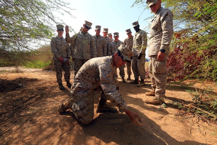 CAMP LEMONNIER, DJIBOUTI (Jan. 10, 2014)  – U.S. Marine Corps Sgt. Miguel Vazquez, an explosive ordnance technician assigned to Explosive Ordnance Detachment, 13th Marine Expeditionary Unit, uncovers a buried improvised explosive device (IED) during counter IED training at Camp Lemonnier, Jan. 10, 2014.  Approximately 50 Marines assigned to Charlie Company, 13th MEU completed counter I    ED training, which covered a wide variety of techniques to defeat enemy IEDs. The 13th MEU is deployed with the Boxer Amphibious Ready Group as a theater reserve and crisis response force throughout the U.S. 5th Fleet area of responsibility.  (U.S. Marine Corps photo by Staff Sgt. Matt Orr/Released)