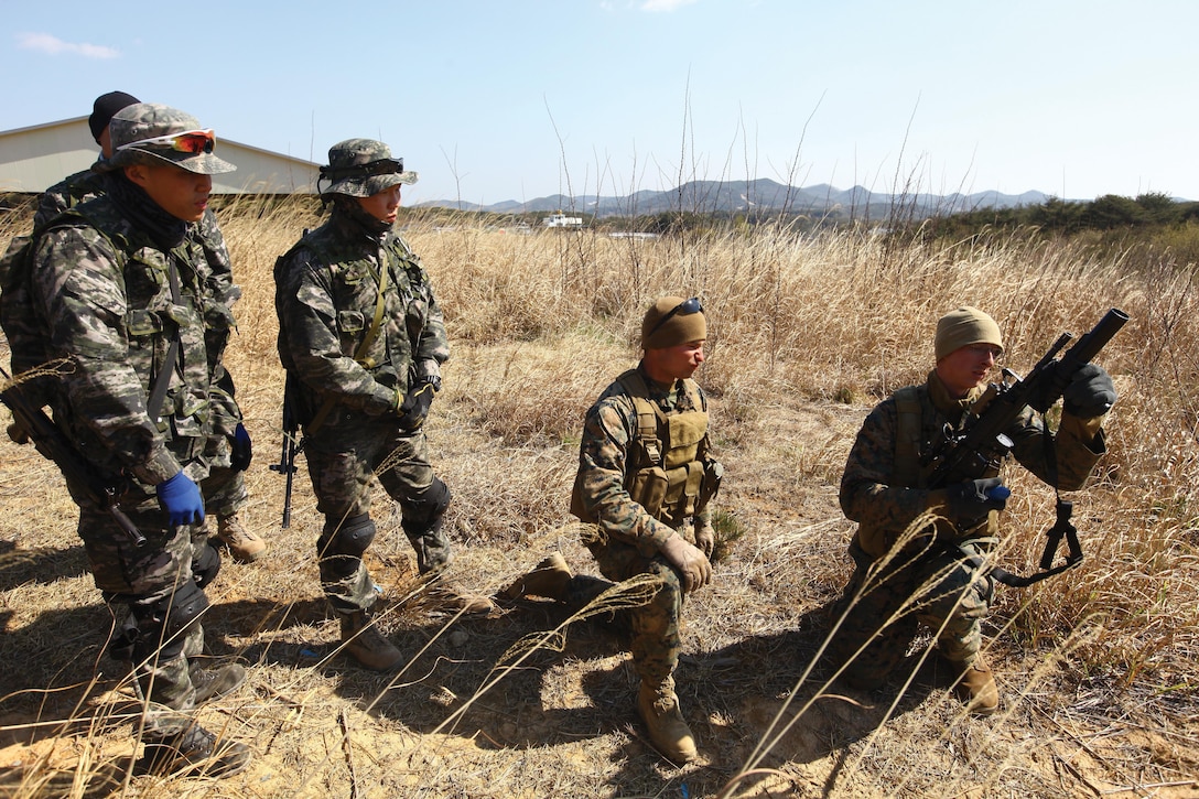 U.S. Marines with Company A, 3rd Recon Bn., explain the operation of the M203 grenade launcher to Republic of Korea Marines April 11, 2013 in the Republic of Korea during Exercise Ssang Yong 13.