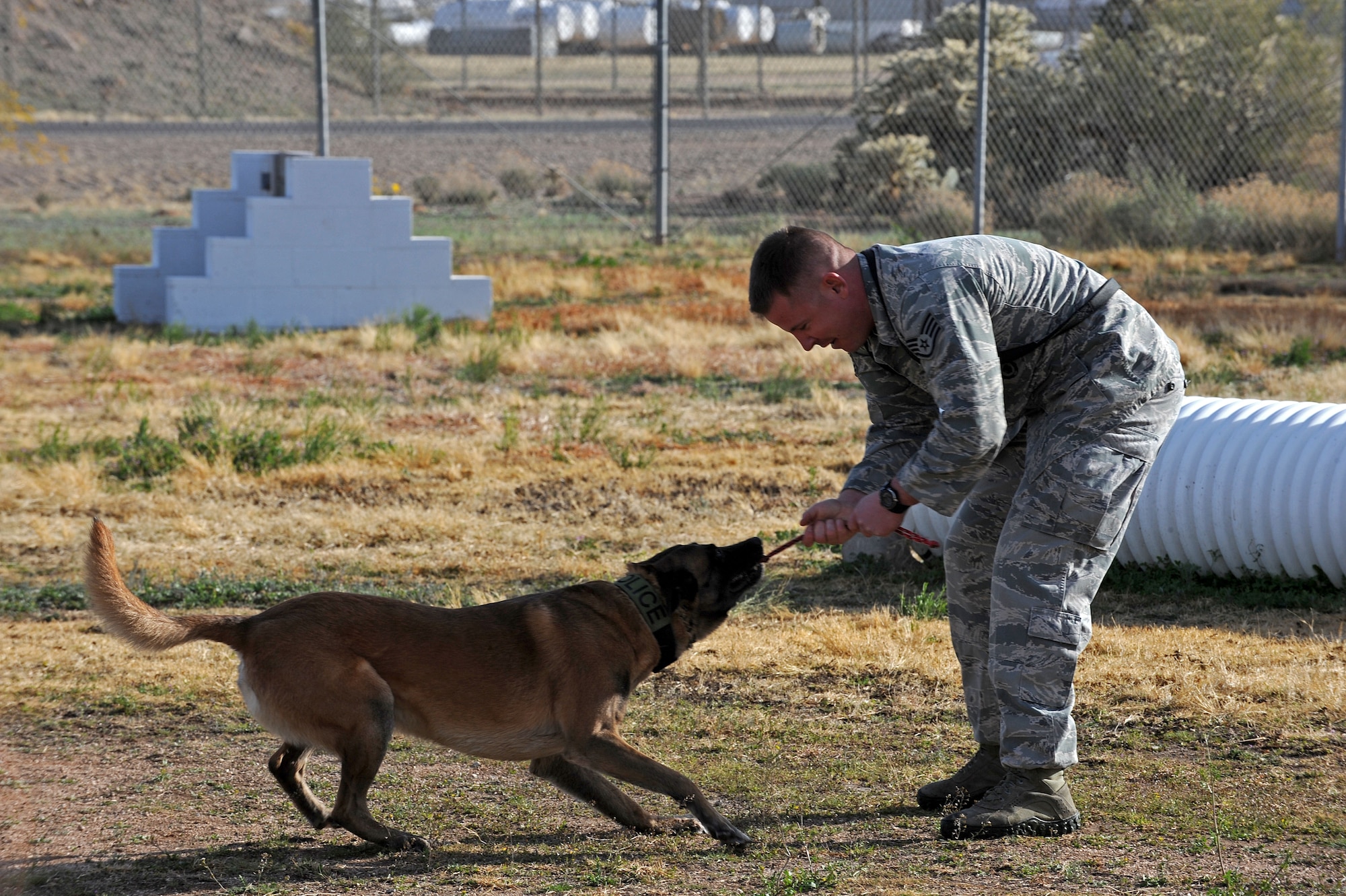 U.S. Air Force Staff Sgt. Sean McKenna, 355th Security Forces Squadron Military Working Dog handler, bonds with Mushe, 355th SFS MWD, during obedience training at Davis-Monthan Air Force Base, Ariz., Jan. 23, 2014. Due to their upcoming joint deployment, McKenna and Mushe are training together to strengthen the trust in their relationship. (U.S. Air Force photo by Senior Airman Camilla Elizeu/Released)