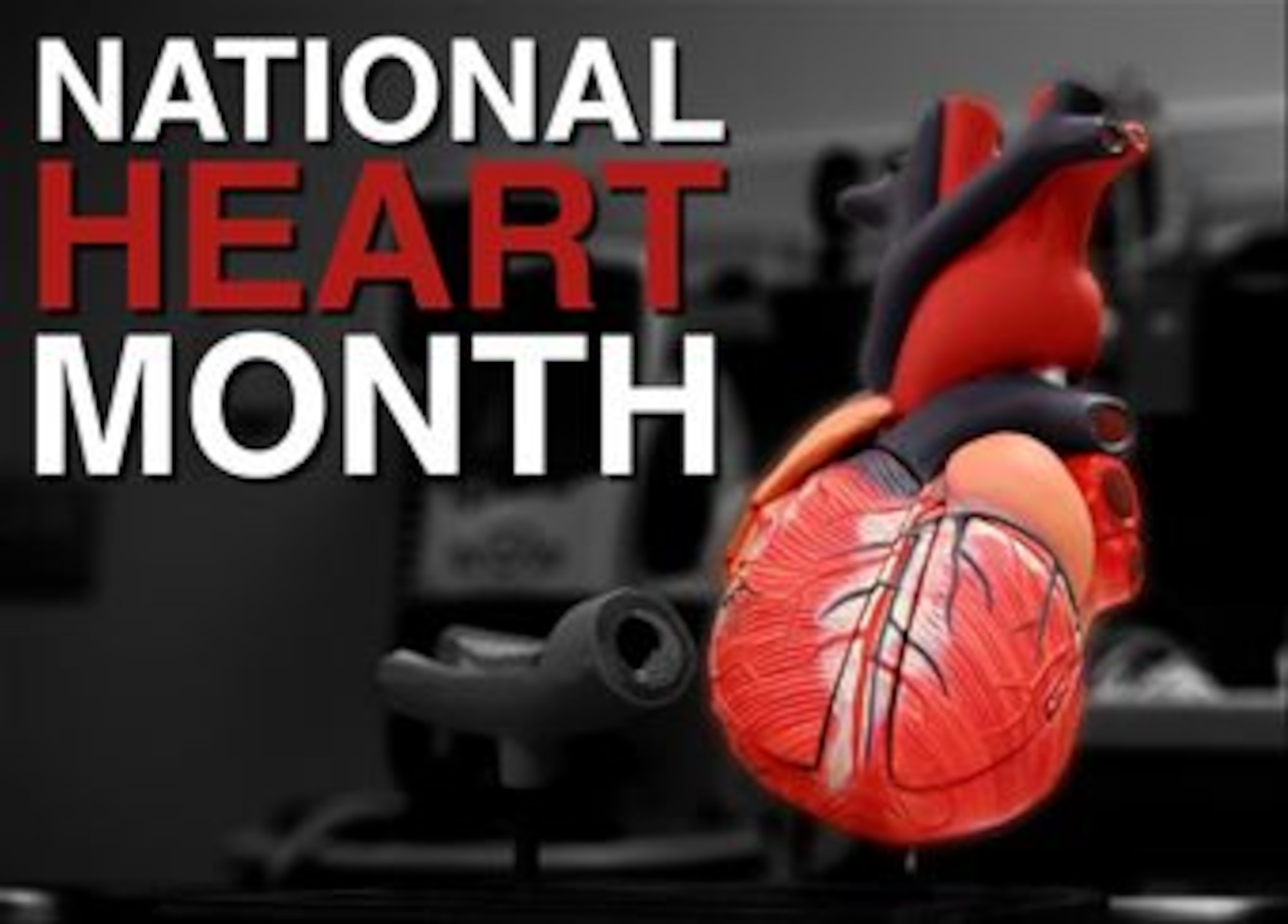 February is National Heart Month, and personnel from McDonald Army Health Center and U.S. Air

Force Hospital Langley are utilizing new information in the cardiology field to keep patient heart

healthy. Changes in blood pressure and cholesterol diagnoses and management have led to fewer 

medications needed by patients and an emphasis on patient-driven treatment. (U.S. Air Force graphic 

by Airman 1st Class Austin Harvill/Released)