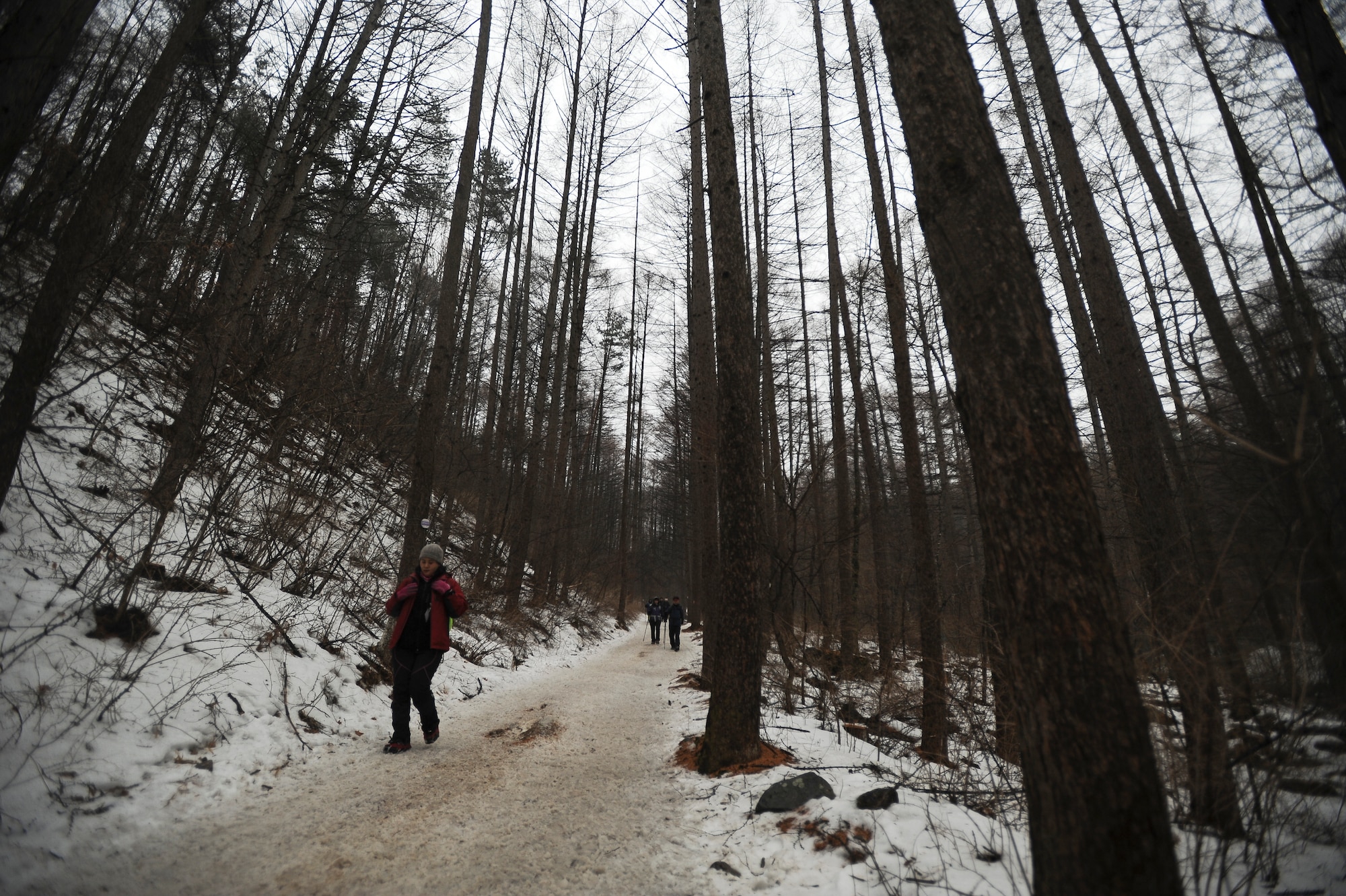 There are several hiking trails in Taebaek Provincial  Park, pictured here Jan. 25, 2014, in Taebaek, Republic of Korea. Most trails are approximately four kilometers in distance in kilometers and take at least a couple of hours to traverse. (U.S. Air Force photo by Staff Sgt. Jake Barreiro)