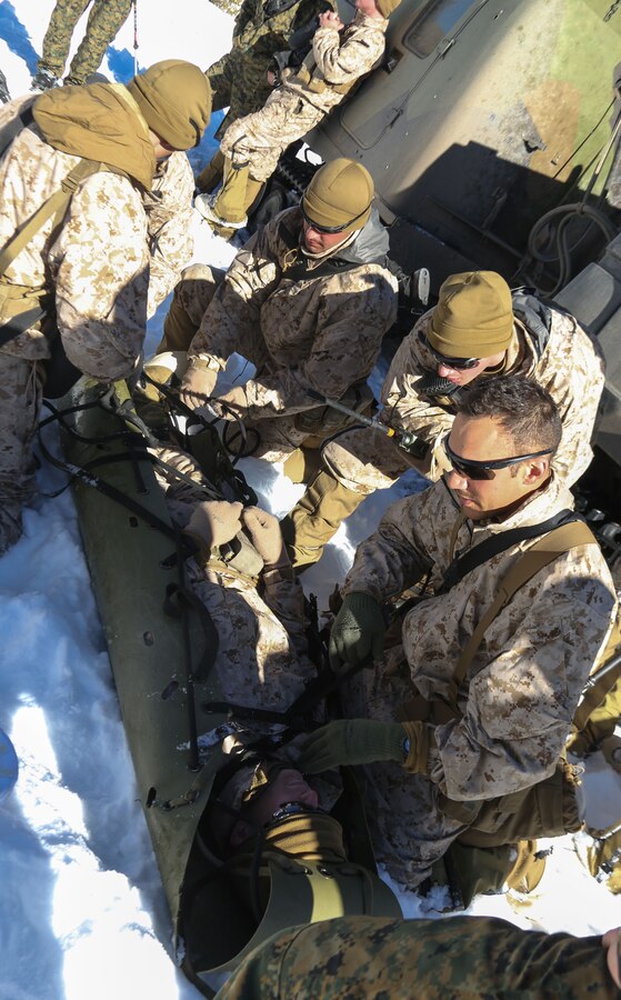 Marine Corps Mountain Warfare Training Center, Bridgeport, Calif. – A Navy corpsman from 2nd Battalion, 2nd Marine Regiment, 2nd Marine Division, directs the care of a simulated casualty during casualty evacuation drills at the Marine Corps Mountain Warfare Training Center at Bridgeport, Calif. The Marines began their pre-environmental training and basic mobility training during a 10-day field exercise on January 18, 2014. During the training evolution the Marines will learn skiing, snowshoeing, skijoring, limited cliff assault, endurance at elevation and long-range day and night movements. The Warlords and its attached units are undergoing training at MCMWTC to prepare for the upcoming bilateral NATO training exercise Cold Response, which will take place in March of 2014 in Norway.