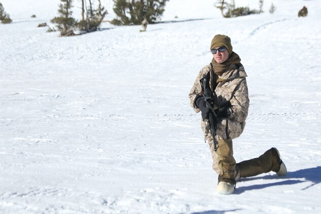 Marine Corps Mountain Warfare Training Center, Bridgeport, Calif. – A Marine from 2nd Battalion, 2nd Marine Regiment, 2nd Marine Division, provides security for a simulated helicopter landing zone during casualty evacuation drills at the Marine Corps Mountain Warfare Training Center at Bridgeport, Calif. The Marines began their pre-environmental training and basic mobility training during a 10-day field exercise on January 18, 2014. During the training evolution the Marines will learn skiing, snowshoeing, skijoring, limited cliff assault, endurance at elevation and long-range day and night movements. The Warlords and its attached units are undergoing training at MCMWTC to prepare for the upcoming bilateral NATO training exercise Cold Response, which will take place in March of 2014 in Norway.