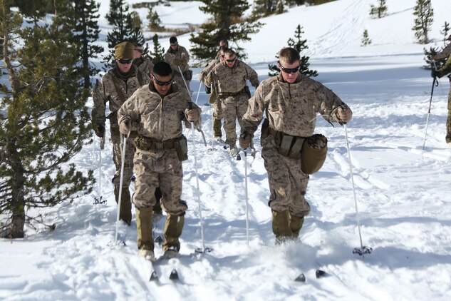 Marine Corps Mountain Warfare Training Center, Bridgeport, Calif. – Marines from 2nd Battalion, 2nd Marine Regiment, 2nd Marine Division, practice their skiing techniques at the Marine Corps Mountain Warfare Training Center at Bridgeport, Calif. The Marines began their pre-environmental training and basic mobility training during a 10-day field exercise on January 18, 2014. During the training evolution the Marines will learn skiing, snowshoeing, skijoring, limited cliff assault, endurance at elevation and long-range day and night movements. The Warlords and its attached units are undergoing training at MCMWTC to prepare for the upcoming bilateral NATO training exercise Cold Response, which will take place in March of 2014 in Norway.