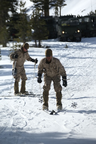 Marine Corps Mountain Warfare Training Center, Bridgeport, Calif. – Marines from 2nd Battalion, 2nd Marine Regiment, 2nd Marine Division, practice their skiing techniques at the Marine Corps Mountain Warfare Training Center at Bridgeport, Calif. The Marines began their pre-environmental training and basic mobility training during a 10-day field exercise on January 18, 2014. During the training evolution the Marines will learn skiing, snowshoeing, skijoring, limited cliff assault, endurance at elevation and long-range day and night movements. The Warlords and its attached units are undergoing training at MCMWTC to prepare for the upcoming bilateral NATO training exercise Cold Response, which will take place in March of 2014 in Norway.