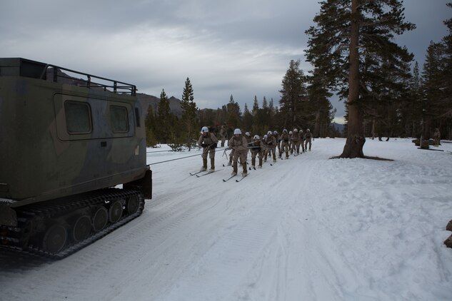 Marine Corps Mountain Warfare Training Center, Bridgeport, Calif. – Marines from 2nd Battalion, 2nd Marine Regiment, 2nd Marine Division, learn skijoring at the Marine Corps Mountain Warfare Training Center at Bridgeport, Calif. Skijoring is skiing while being towed by animal or motorized vehicle. The Marines began their pre-environmental training and basic mobility training during a 10-day field exercise on January 18, 2014. During the training evolution the Marines will learn skiing, snowshoeing, skijoring, limited cliff assault, endurance at elevation and long-range day and night movements. The Warlords and its attached units are undergoing training at MCMWTC to prepare for the upcoming bilateral NATO training exercise Cold Response, which will take place in March of 2014 in Norway.