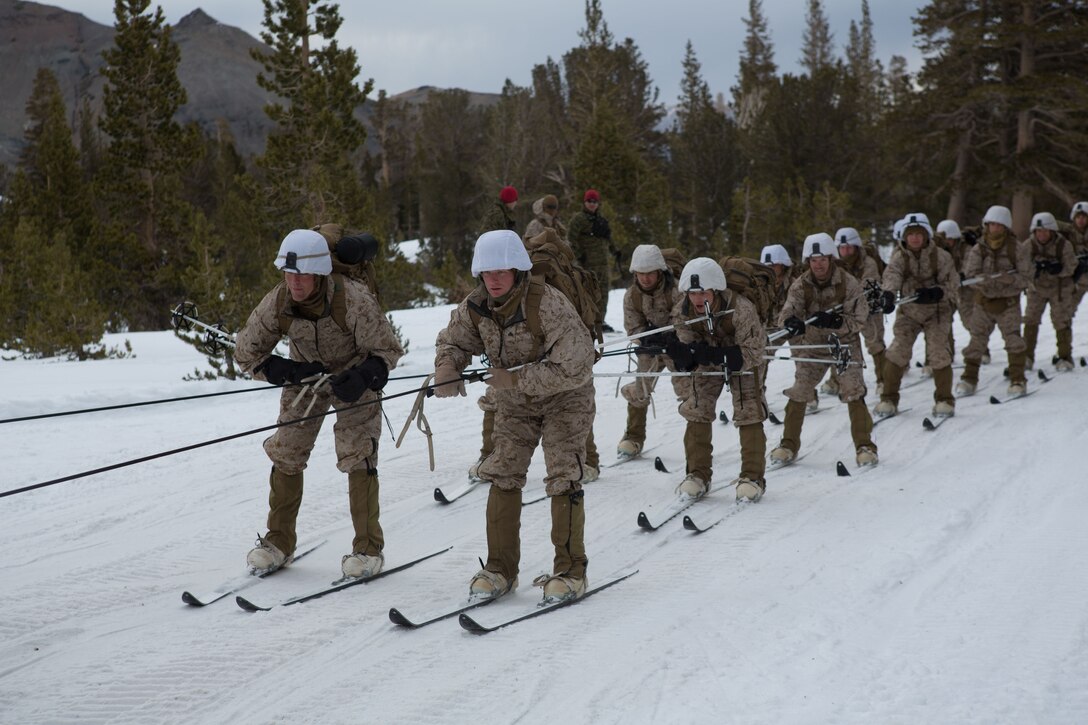 Marine Corps Mountain Warfare Training Center, Bridgeport, Calif. – Marines from 2nd Battalion, 2nd Marine Regiment, 2nd Marine Division, learn skijoring at the Marine Corps Mountain Warfare Training Center at Bridgeport, Calif. Skijoring is skiing while being towed by animal or motorized vehicle. The Marines began their pre-environmental training and basic mobility training during a 10-day field exercise on January 18, 2014. During the training evolution the Marines will learn skiing, snowshoeing, skijoring, limited cliff assault, endurance at elevation and long-range day and night movements. The Warlords and its attached units are undergoing training at MCMWTC to prepare for the upcoming bilateral NATO training exercise Cold Response, which will take place in March of 2014 in Norway.