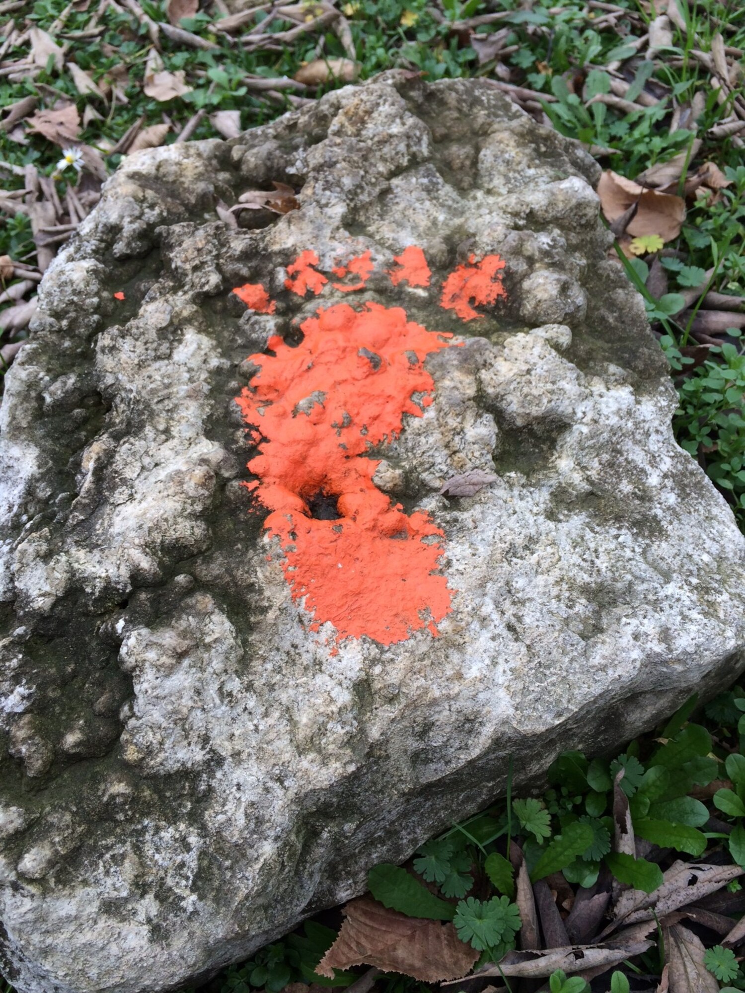This orange footprint and others mark the “With Feet on the Ground” walking trail at the Rural Park of St. Florian in Polcenigo. During the summer, visitors can kick off their shoes and walk along this barefoot path. (U.S. Air Force photo/Staff Sgt. R.J. Biermann)