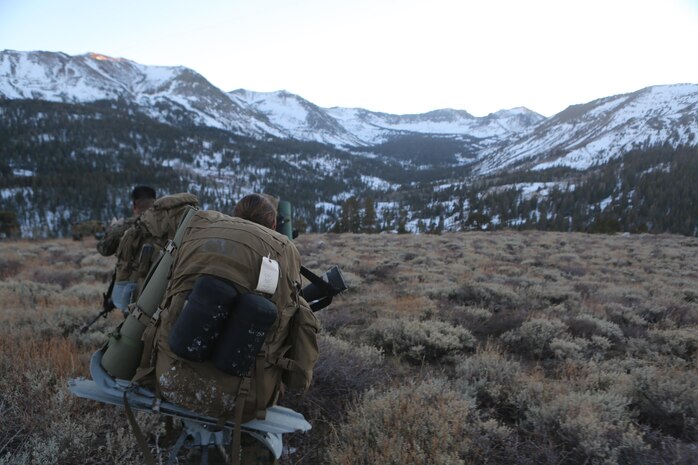 Marines with Ragnarok Company, 2nd Supply Battalion, 2nd Marine Logistics Group look at their cold-weather training area in the distance during a hike aboard the Mountain Warfare Training Center in Bridgeport, Calif., Jan. 19, 2014. Ragnarok Co. hiked from base camp to the training area at approximately 10,000 feet above sea level over three days of hikes in preparation for Cold Response 2014, a NATO exercise in Norway. 