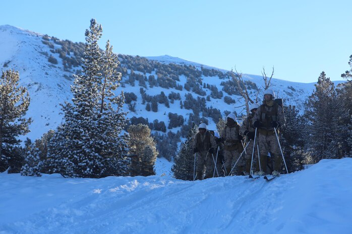 Marines with Ragnarok Company, 2nd Supply Battalion, 2nd Marine Logistics Group wait to descend a hill during an evening ski tour aboard the Mountain Warfare Training Center in Bridgeport, Calif., Jan. 24, 2014. Service members with the company learned skiing techniques to move over snow-covered terrain too difficult to traverse by foot.