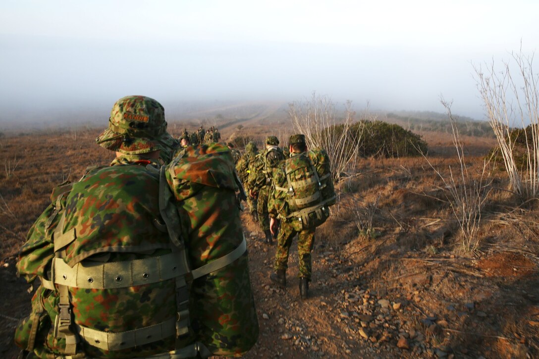 U.S. Marines with 1st Air Naval Gunfire Liaison Company and soldiers from the Japan Ground Self-Defense Force stand at the half-way point of a hike during Exercise Iron Fist 2014 aboard Camp Pendleton, Calif., Jan. 28, 2014. Iron Fist 2014 is an amphibious exercise that brings together Marines and sailors from the 15th Marine Expeditionary Unit, other I Marine Expeditionary Force units, and soldiers from the JGSDF, to promote military interoperability and hone individual and small-unit skills through challenging, complex and realistic training. (U.S. Marine Corps photo by Lance Cpl. Anna K. Albrecht/Released)