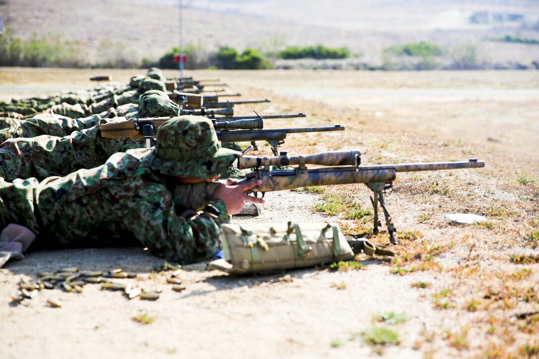 Soldiers with the Japan Ground Self-Defense Force engage targets in a shooting drill while conducting scout sniper training during Exercise Iron Fist 2014 aboard Camp Pendleton, Calif., Jan. 29, 2014. Iron Fist is an amphibious exercise that brings together Marines and sailors from the 15th Marine Expeditionary Unit, other I Marine Expeditionary Force units, and soldiers from the JGSDF, to promote military interoperability and hone individual and small-unit skills through challenging, complex and realistic training. (U.S. Marine Corps photo by Lance Cpl. Ricardo Hurtado/Released)