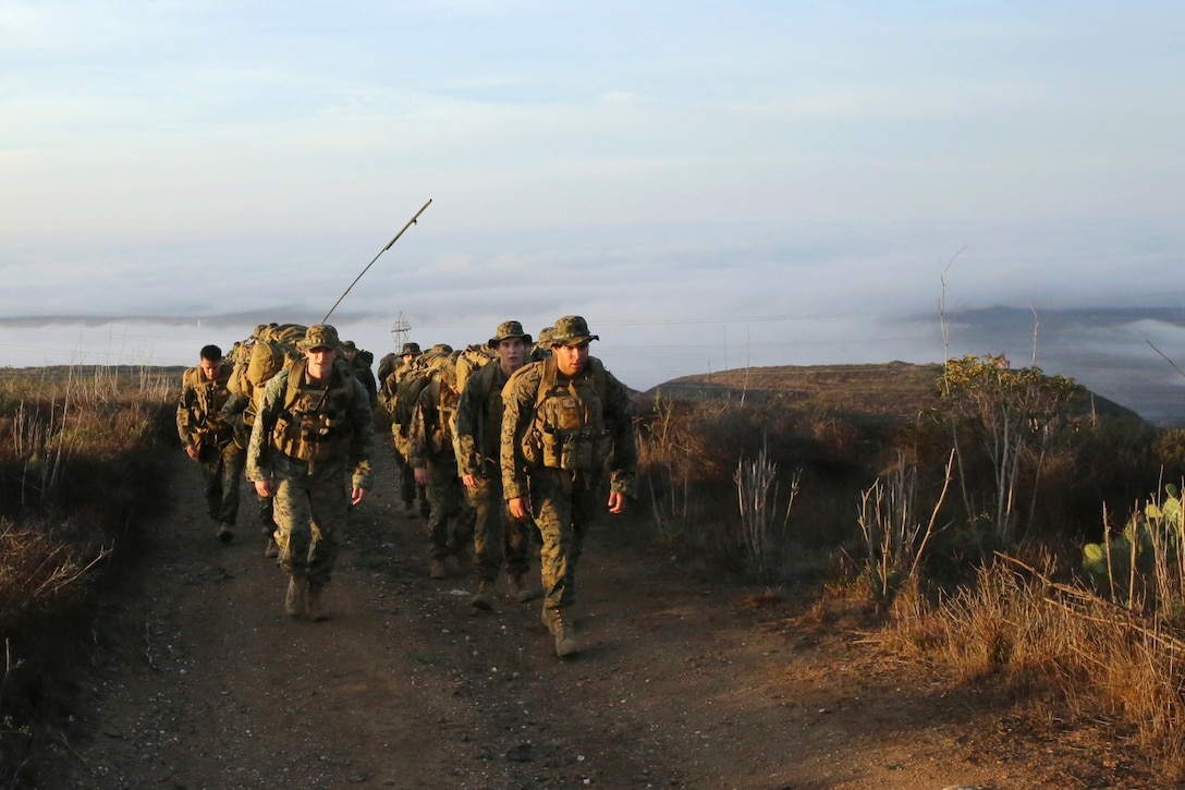 U.S. Marines with 1st Air Naval Gunfire Liaison Company and soldiers from the Japan Ground Self-Defense Force stand at the half-way point of a hike during Exercise Iron Fist 2014 aboard Camp Pendleton, Calif., Jan. 28, 2014. Iron Fist 2014 is an amphibious exercise that brings together Marines and sailors from the 15th Marine Expeditionary Unit, other I Marine Expeditionary Force units, and soldiers from the JGSDF, to promote military interoperability and hone individual and small-unit skills through challenging, complex and realistic training. (U.S. Marine Corps photo by Lance Cpl. Anna K. Albrecht/Released)