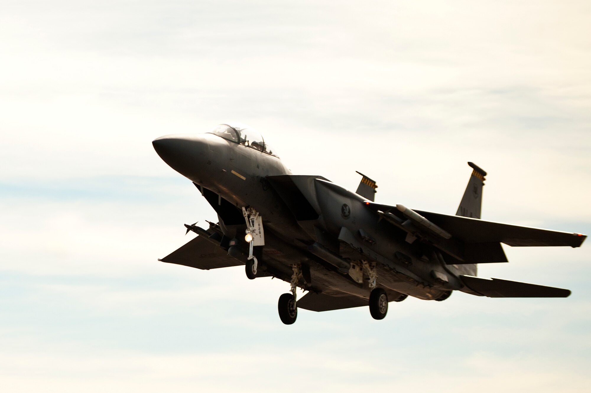 An F-15C Eagle from the 17th Weapons Squadron, Nellis Air Force Base, Nev., prepares to land following a training mission Jan. 29, 2014, at Nellis AFB, Nev. The Strike Eagle has the capability to perform air-to-air or air-to-surface missions at all altitudes, day or night, in any weather. (U.S. Air Force photo by Airman 1st Class Joshua Kleinholz)