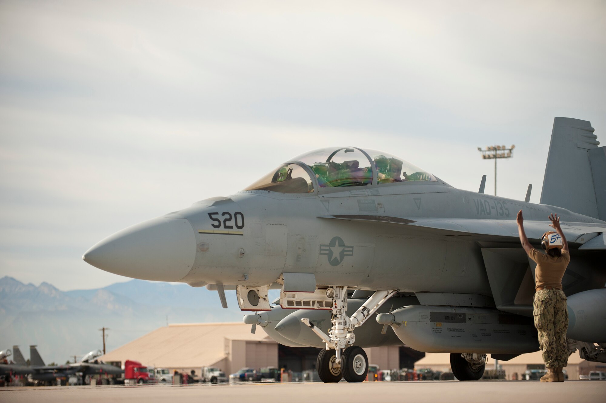 U.S. Navy Petty Officer 3rd Class Micah Smith, 135th Electronic Attack Squadron flight captain, Naval Air Station Whidbey Island, Wash., directs the pilot of an EA-18G Growler out of a parking spot prior to a training mission Jan. 29, 2014, at Nellis Air Force base. Nev. The Boeing EA-18G Growler is an American carrier-based electronic warfare aircraft, a specialized version of the two-seat F/A-18F Super Hornet. Red Flag gives aircrews and air support operations service members from various airframes, military services and allied countries an opportunity to integrate and practice combat operations. (U.S. Air Force photo by Airman 1st Class Joshua Kleinholz)