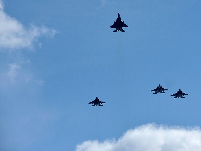 Four F-15E Strike Eagles from the 336th Fighter Squadron at Seymour-Johnson Air Force Base, N.C., fly over Arlington National Cemetery during the internment ceremony of Brig. Gen. Robinson "Robbie" Risner, Jan. 23, 2014. Risner was assigned to the squadron when he became the Air Force's 20th ace pilot during his time in Korea. Risner was one of the most celebrated pilots in Air Force history and survived seven and a half years of captivity in Hoa Lo Prison, a.k.a the Hanoi Hilton. (U.S. Air Force photo/Michael J. Pausic)