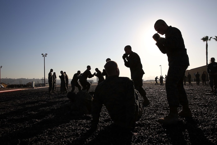Recruits of Company L, 3rd Recruit Training Battalion, practice take downs during a Marine Corps Martial Arts Program test aboard the depot, Jan. 22.